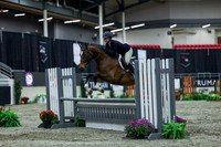 2025 - Shea - Royal West - Saturday October 18th - 00825