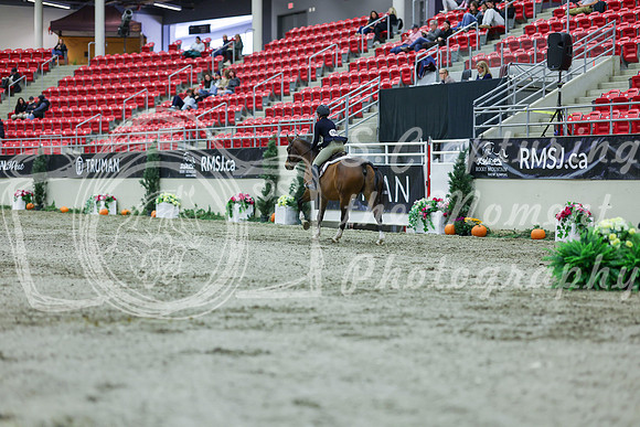 2025 - Shea - Royal West - Saturday October 18th - 00831