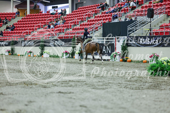 2025 - Shea - Royal West - Saturday October 18th - 00832