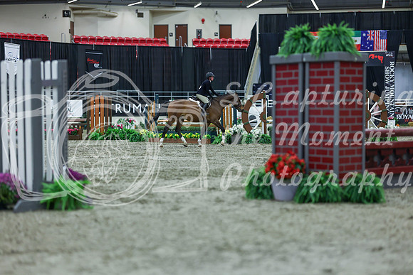 2025 - Shea - Royal West - Saturday October 18th - 00835