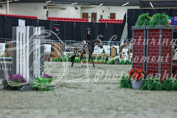 2025 - Shea - Royal West - Saturday October 18th - 00724