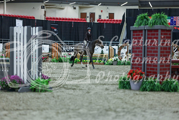 2025 - Shea - Royal West - Saturday October 18th - 00726