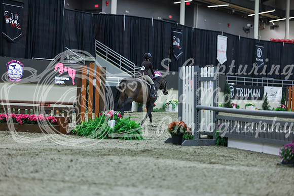 2025 - Shea - Royal West - Saturday October 18th - 00736