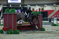 2025 - Shea - Royal West - Saturday October 18th - 00734