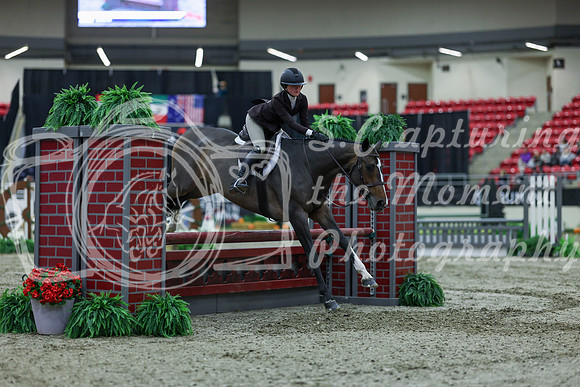 2025 - Shea - Royal West - Saturday October 18th - 00734