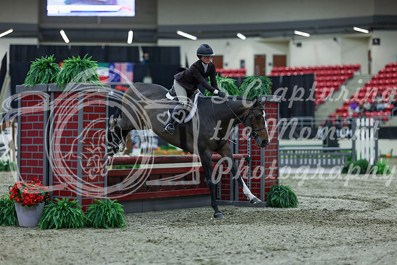 2025 - Shea - Royal West - Saturday October 18th - 00735