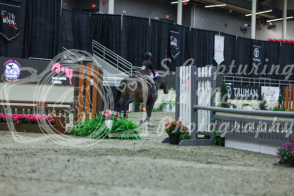 2025 - Shea - Royal West - Saturday October 18th - 00737