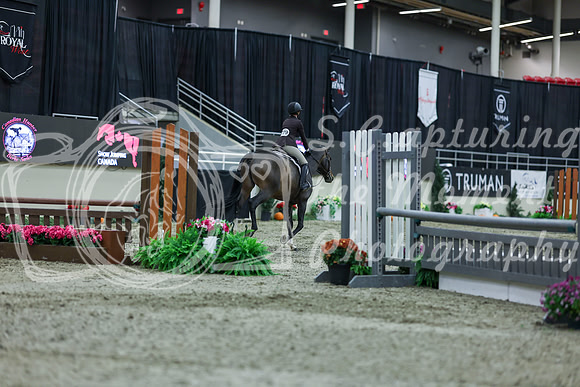 2025 - Shea - Royal West - Saturday October 18th - 00738