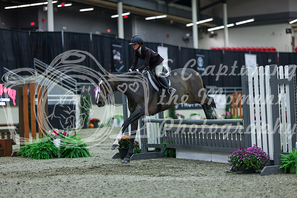 2025 - Shea - Royal West - Saturday October 18th - 00748