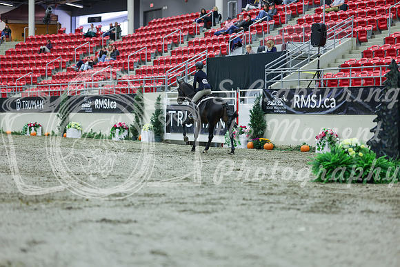 2025 - Shea - Royal West - Saturday October 18th - 00719