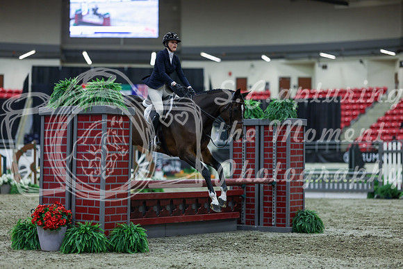 2025 - Shea - Royal West - Saturday October 18th - 01716