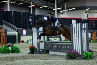 2025 - Shea - Royal West - Saturday October 18th - 01723