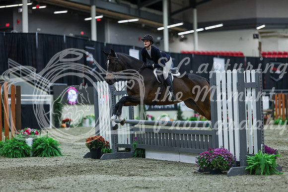2025 - Shea - Royal West - Saturday October 18th - 01723