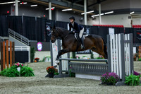 2025 - Shea - Royal West - Saturday October 18th - 01724