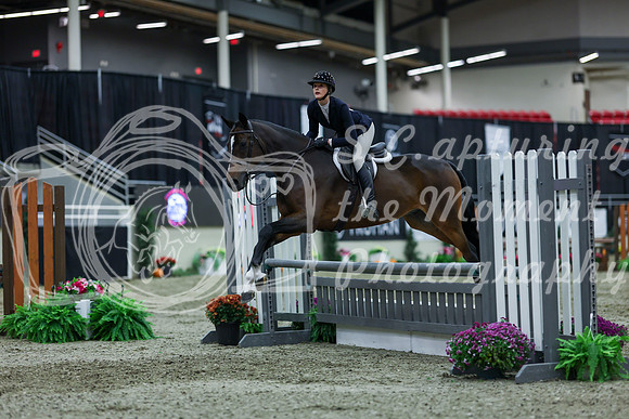 2025 - Shea - Royal West - Saturday October 18th - 01724