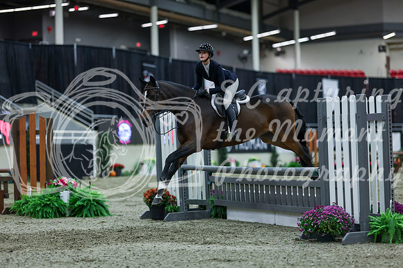 2025 - Shea - Royal West - Saturday October 18th - 01725