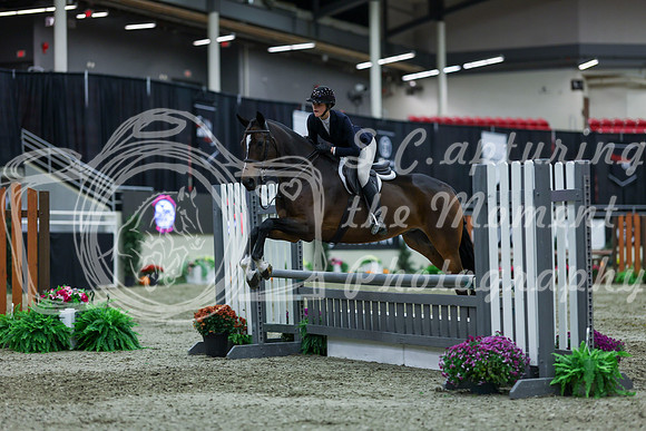 2025 - Shea - Royal West - Saturday October 18th - 01731