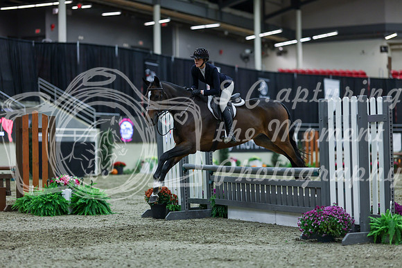 2025 - Shea - Royal West - Saturday October 18th - 01733
