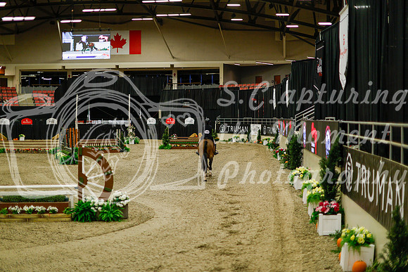2025 - Haylee - Royal West - Saturday October 18th - 08215