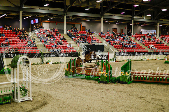 2025 - Haylee - Royal West - Saturday October 18th - 08219