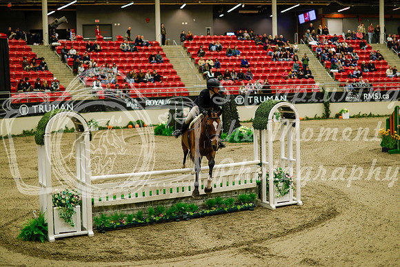 2025 - Haylee - Royal West - Saturday October 18th - 08223