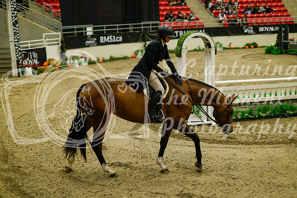 2025 - Haylee - Royal West - Saturday October 18th - 08228