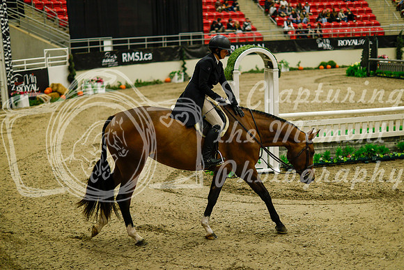 2025 - Haylee - Royal West - Saturday October 18th - 08229