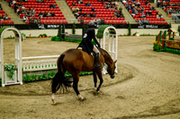 2025 - Haylee - Royal West - Saturday October 18th - 08230
