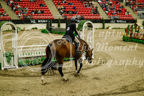 2025 - Haylee - Royal West - Saturday October 18th - 08230