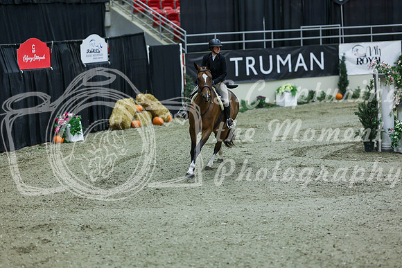 2025 - Shea - Royal West - Saturday October 18th - 05451