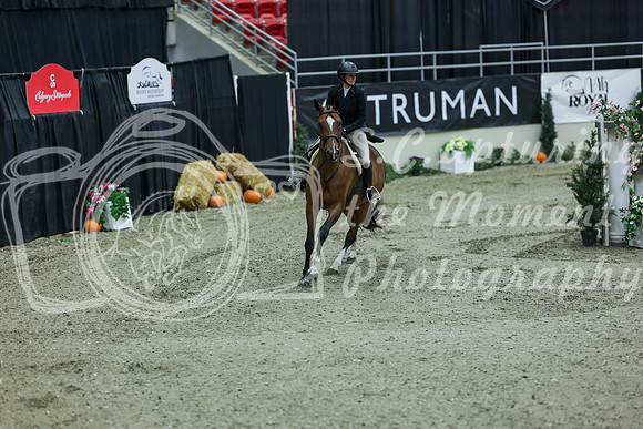 2025 - Shea - Royal West - Saturday October 18th - 05450