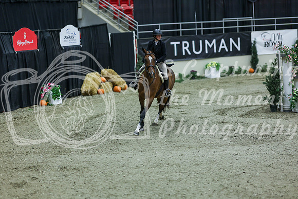 2025 - Shea - Royal West - Saturday October 18th - 05452