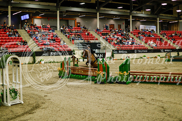 2025 - Haylee - Royal West - Saturday October 18th - 08248