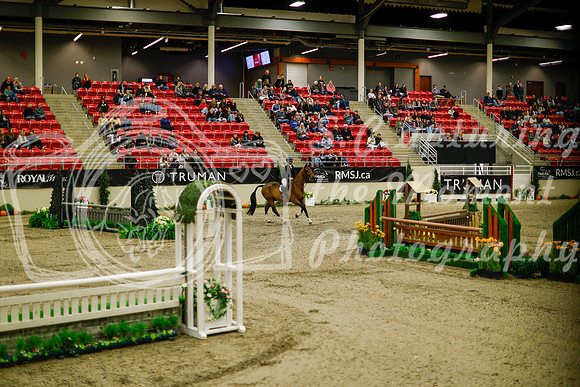2025 - Haylee - Royal West - Saturday October 18th - 08251