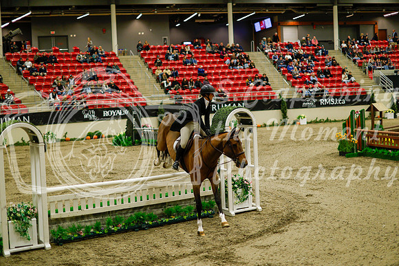2025 - Haylee - Royal West - Saturday October 18th - 08260