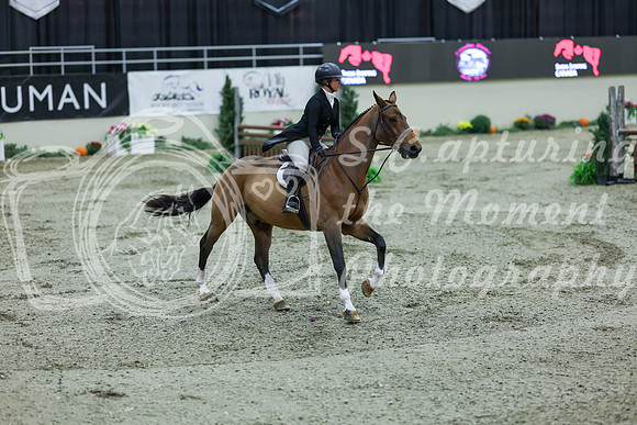 2025 - Shea - Royal West - Saturday October 18th - 05573