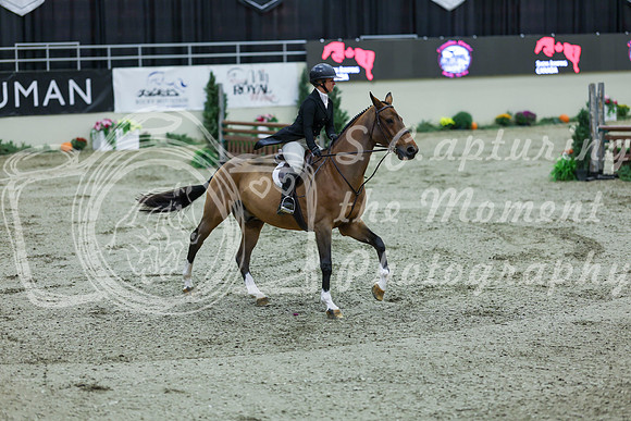 2025 - Shea - Royal West - Saturday October 18th - 05574