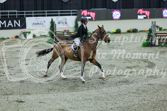 2025 - Shea - Royal West - Saturday October 18th - 05575