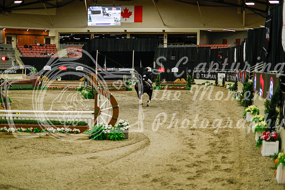 2025 - Haylee - Royal West - Saturday October 18th - 08704
