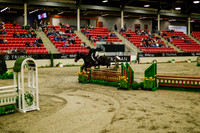 2025 - Haylee - Royal West - Saturday October 18th - 08703