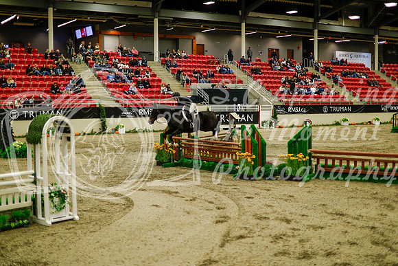 2025 - Haylee - Royal West - Saturday October 18th - 08703