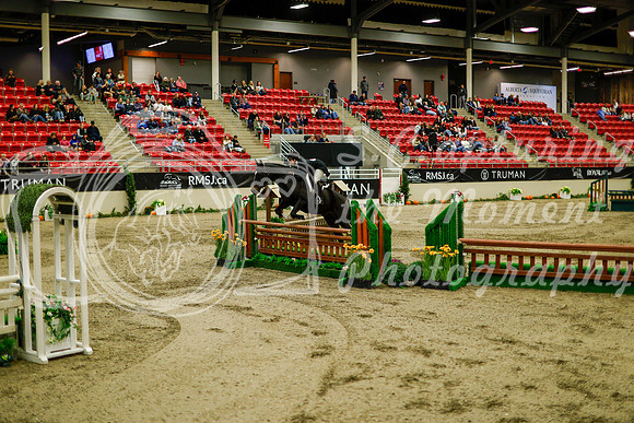 2025 - Haylee - Royal West - Saturday October 18th - 08701