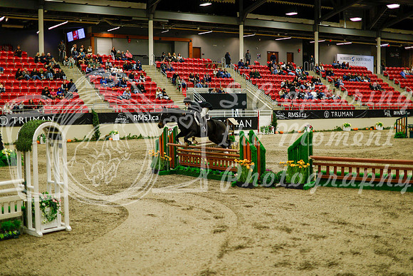 2025 - Haylee - Royal West - Saturday October 18th - 08702