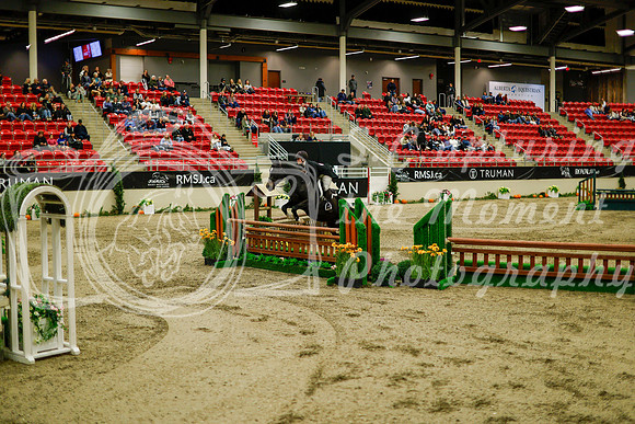 2025 - Haylee - Royal West - Saturday October 18th - 08700
