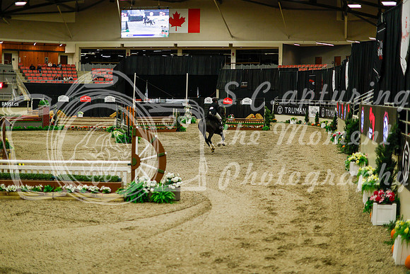 2025 - Haylee - Royal West - Saturday October 18th - 08705