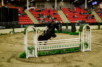2025 - Haylee - Royal West - Saturday October 18th - 08707