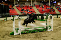 2025 - Haylee - Royal West - Saturday October 18th - 08708