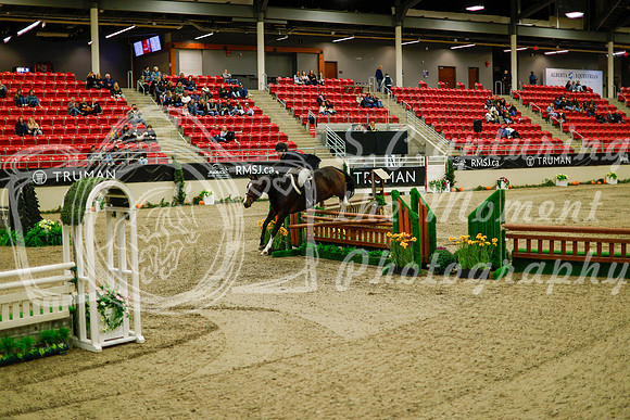 2025 - Haylee - Royal West - Saturday October 18th - 09046