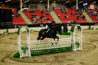 2025 - Haylee - Royal West - Saturday October 18th - 08709