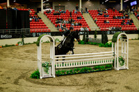 2025 - Haylee - Royal West - Saturday October 18th - 08706